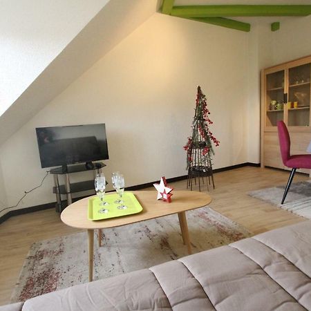 Colmar Historic Center - Cosy Appartement Turenne 2 - Bookingalsace 외부 사진