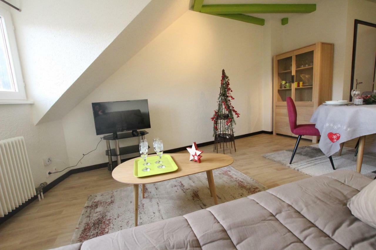 Colmar Historic Center - Cosy Appartement Turenne 2 - Bookingalsace 외부 사진